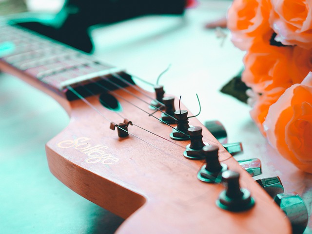 Free Guitar Instrument photo and picture