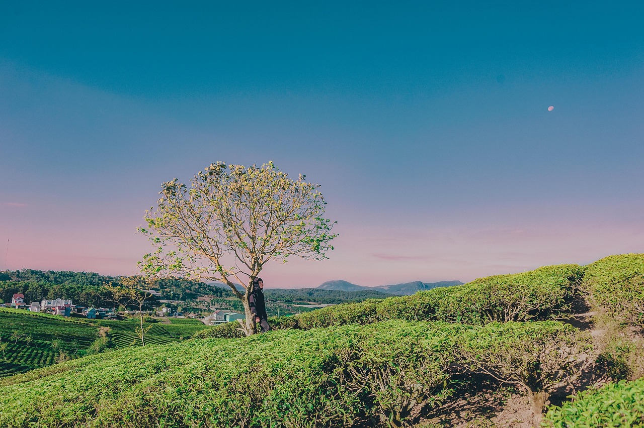 Landscape - free online jigsaw puzzle photo