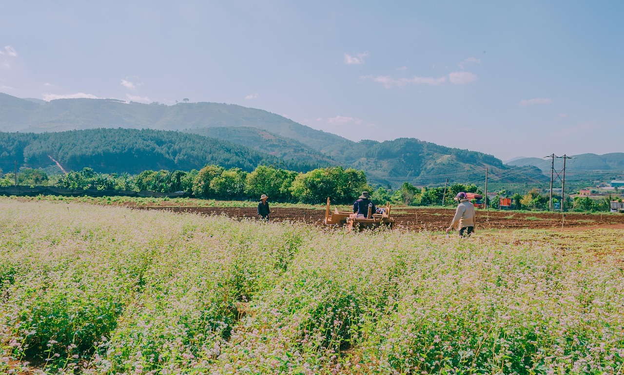 Landscape - free online jigsaw puzzle photo
