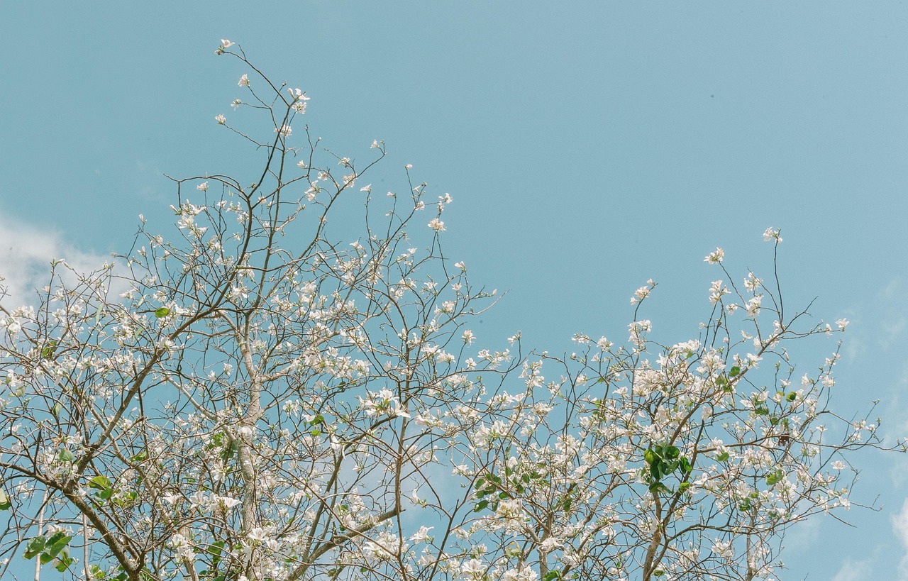 Landscape - free online jigsaw puzzle photo