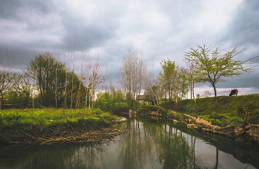 Free Nature Landscape photo and picture