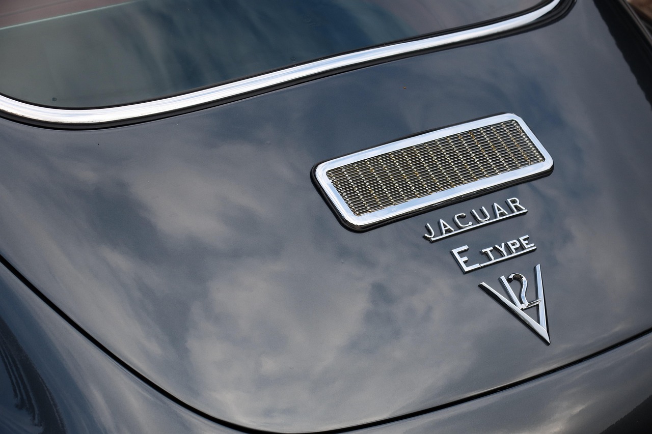 Jaguar - free online jigsaw puzzle photo