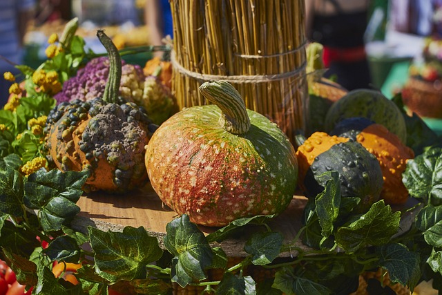 Free Pumpkin Leaves photo and picture