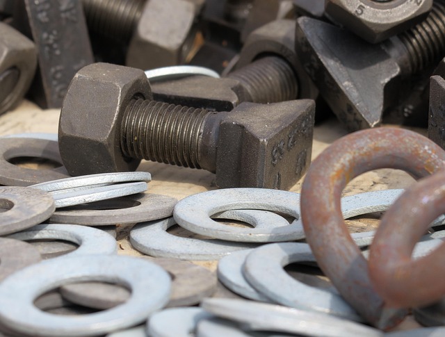 Free Screw New photo and picture