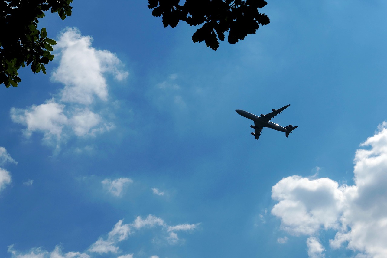 Approach - free online jigsaw puzzle photo