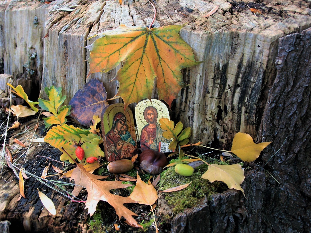 Icon In The Fall Bark - Free photo on Pixabay
