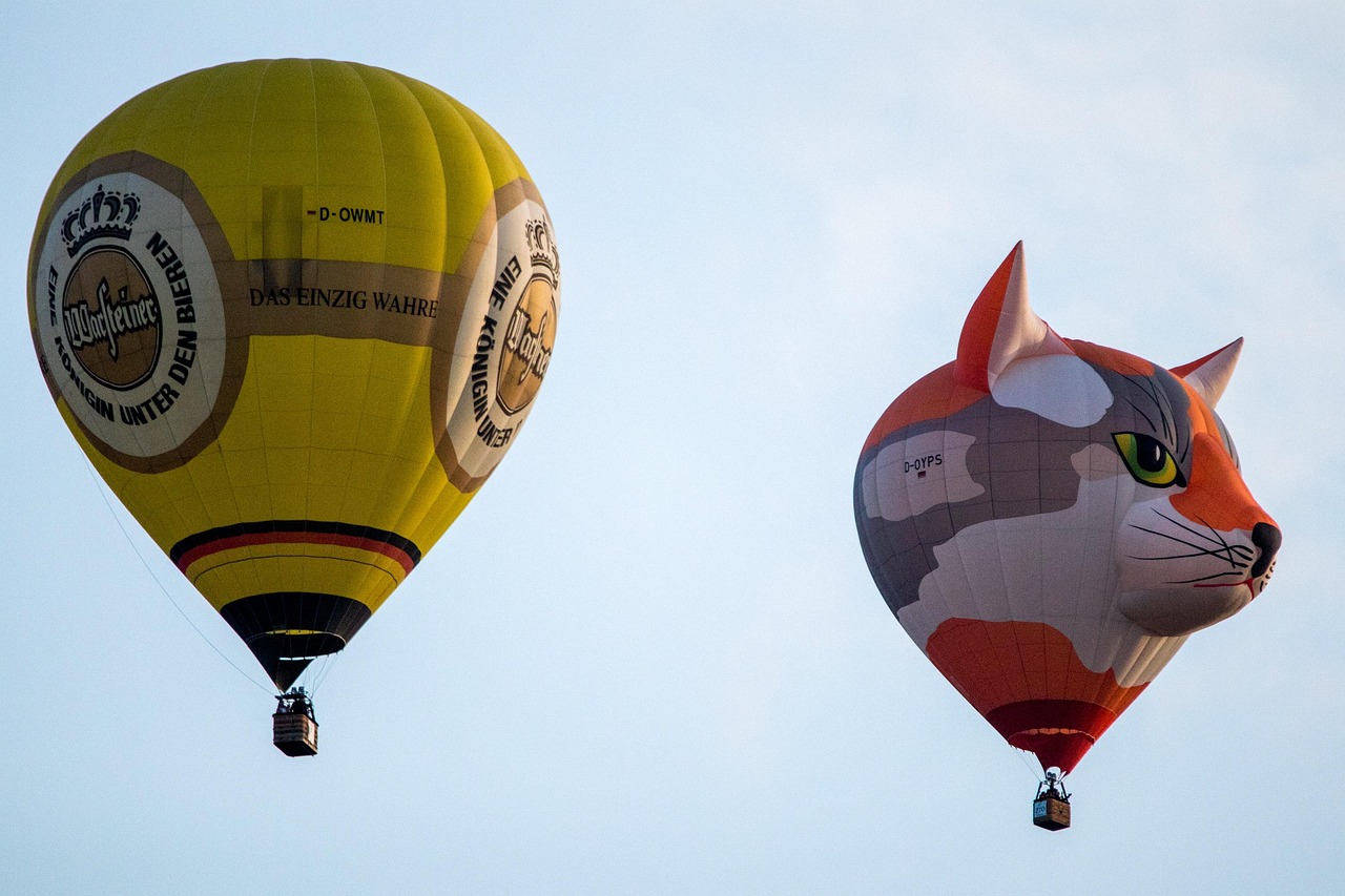 Hot Air Balloon - free online jigsaw puzzle photo