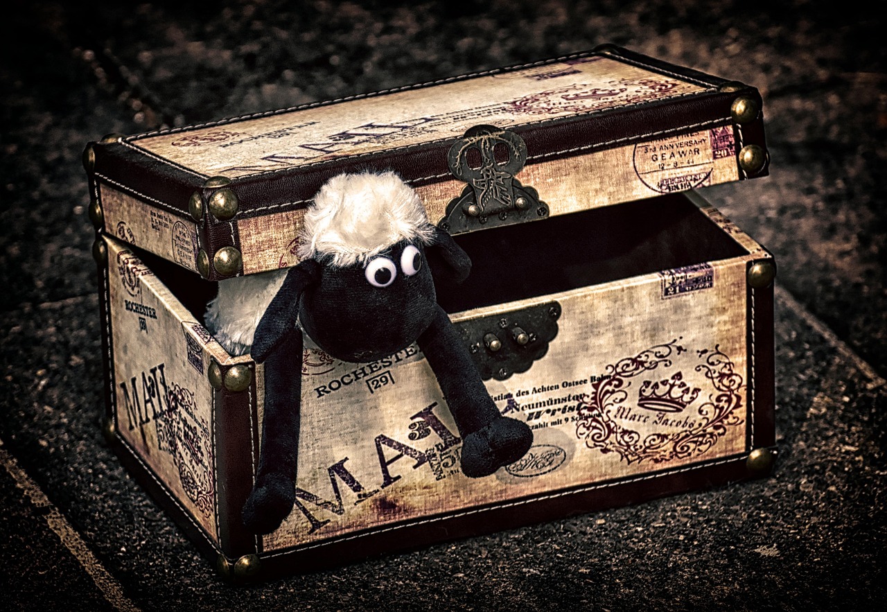 Sheep - free online jigsaw puzzle photo