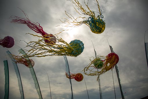 Free Wind Festival photo and picture