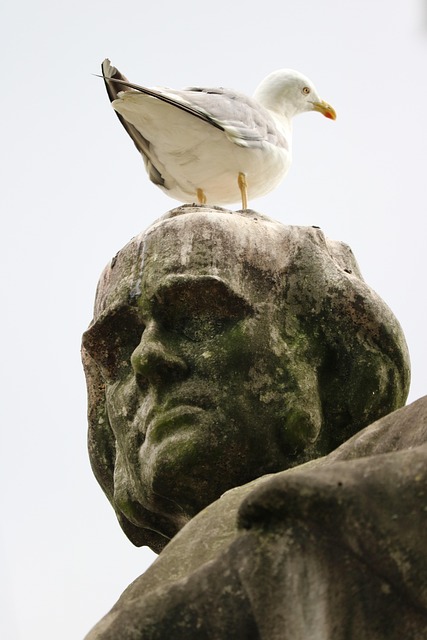 Free Seagull Statue photo and picture