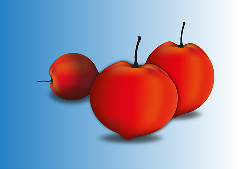 Free Fruits Apricot illustration and picture