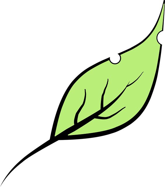 Frunze, Verde