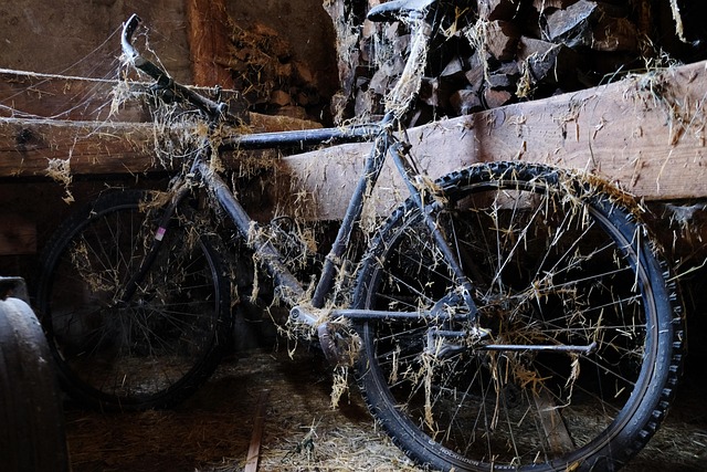 Free Bicycle Old photo and picture