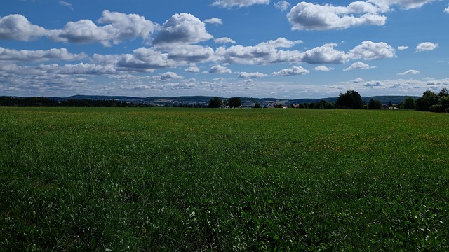 Free Meadow Clouds photo and picture