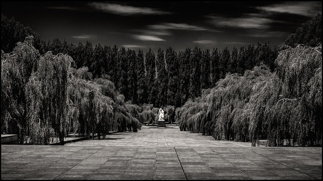 Preto E Branco, Parque, Estátua, Berlim