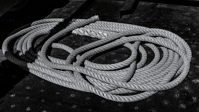 Corda, Preto E Branco, Monocromático
