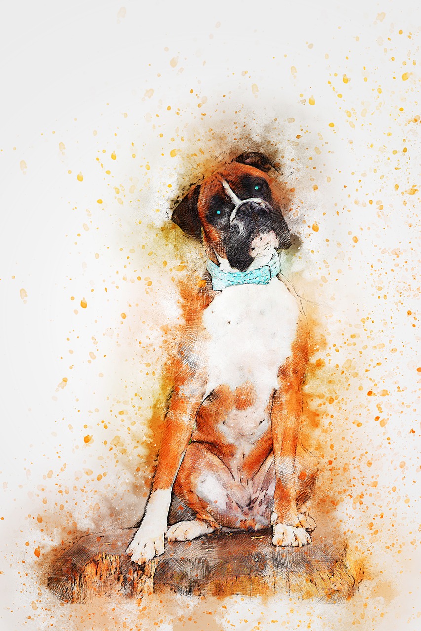 perro boxer dibujo sentado