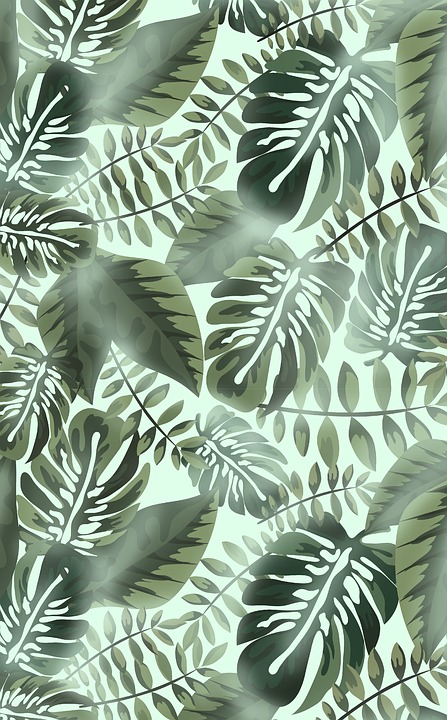 800+ Gambar Daun Tropis HD Terbaru 800+ Gambar Daun Tropis HD Terbaru