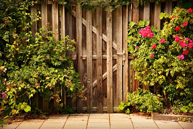 wooden door, entry, garden, rose bush, pavement, back entrance, brown rose, nature, brown garden, brown door, brown gardening