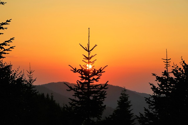 Free Sunset Sun photo and picture