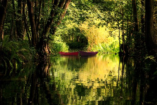 See, Wald, Wasser, Natur, Bäume, Fluss