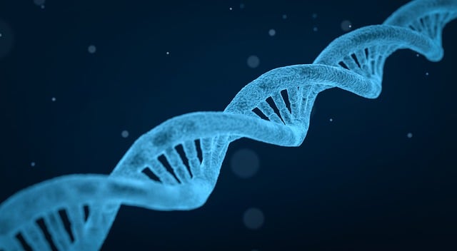 Free dna 3d wallpapers string illustration