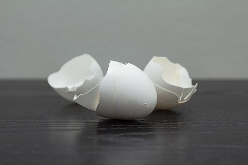 Free Eggs Eggshell photo and picture