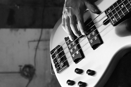 Free Bass Electric Bass photo and picture