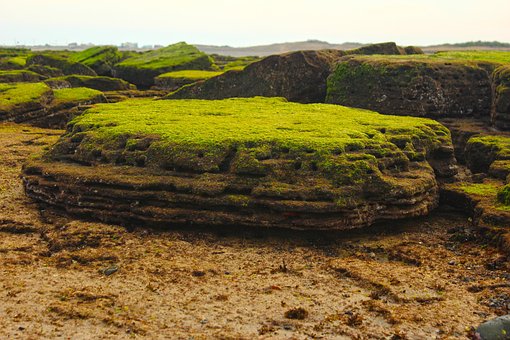 Free Coast Rock photo and picture