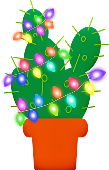 30+ Free Christmas Cactus &amp; Cactus Images - Pixabay