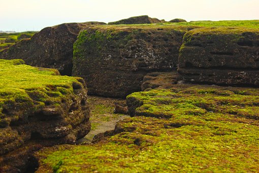 Free Coast Rock photo and picture