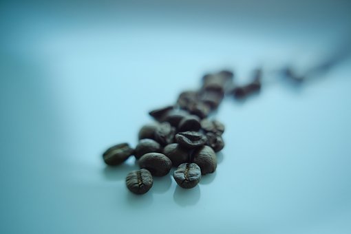 Free Coffe Bean photo and picture