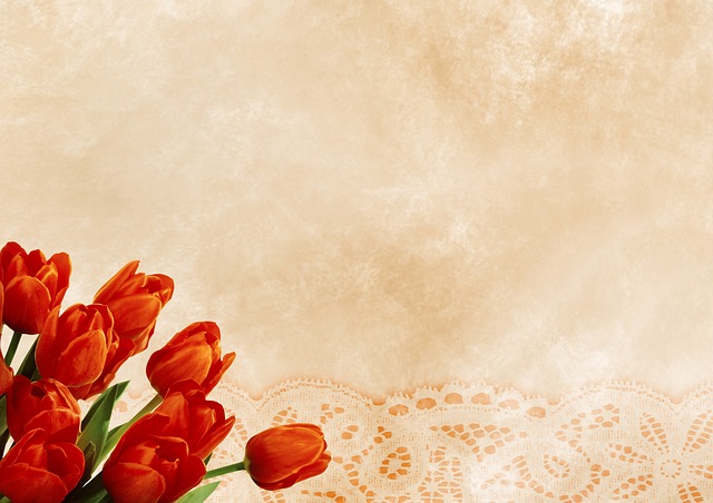 Free tulips template background illustration