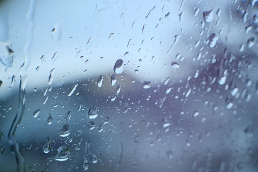 Free Rain Raindrop photo and picture