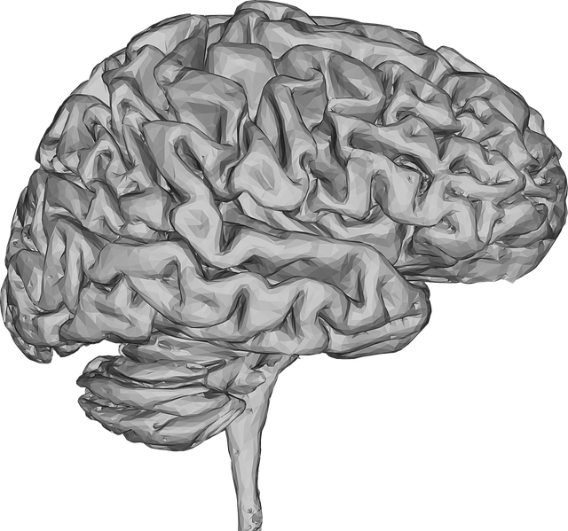 Free brain 3d thought vector