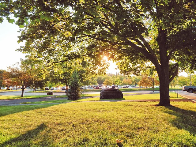 Free Cornell Autumn photo and picture