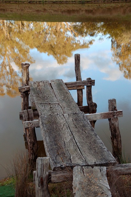 둑 목재 댐 - Pixabay의 무료 사진 - Pixabay