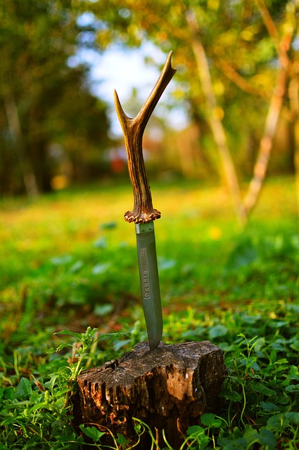 Messer, Rumänien, Waffen, Heer, Natur