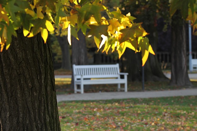 Free Dresden Nature photo and picture