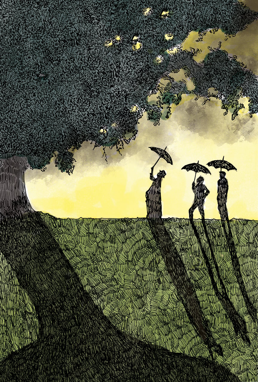 Free tree shadows nature illustration