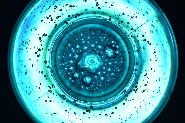 Free Blue Bottle photo and picture