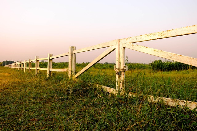 Free Fence With Green Grass Fence photo and picture