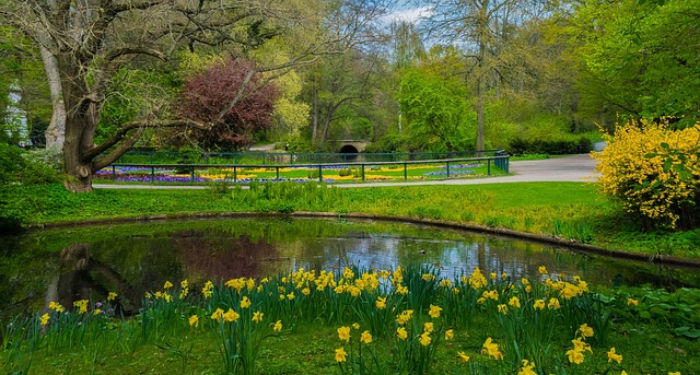 Berlin, Parkere, Natur
