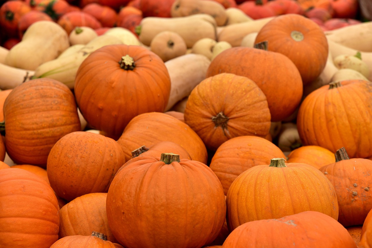 Pumpkin - free online jigsaw puzzle photo