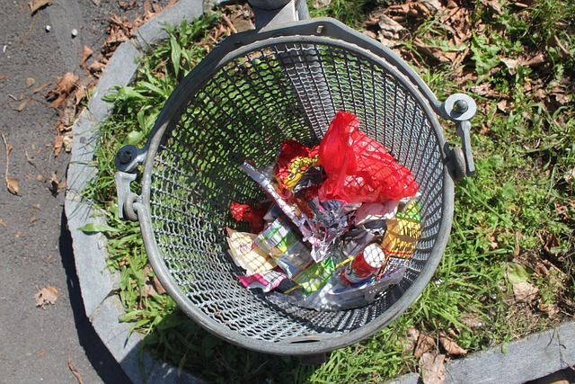 Free Rubbish Dustbin photo and picture