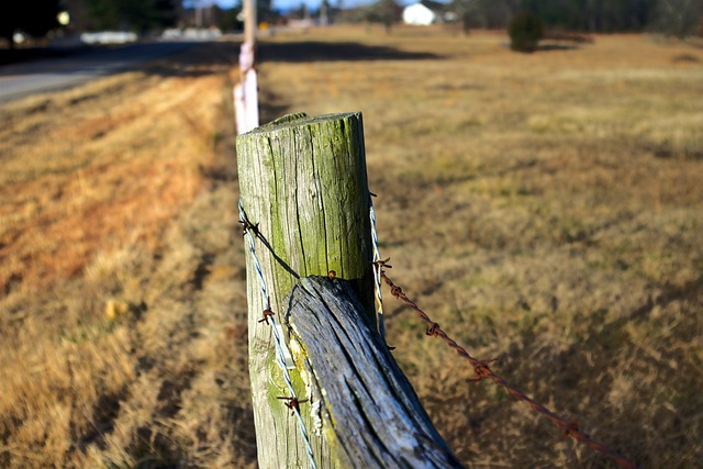 Free Arkansas Ozark Fence Post photo and picture