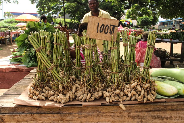 Markt, Südsee, Vanuatu, Nüsse, Markttag