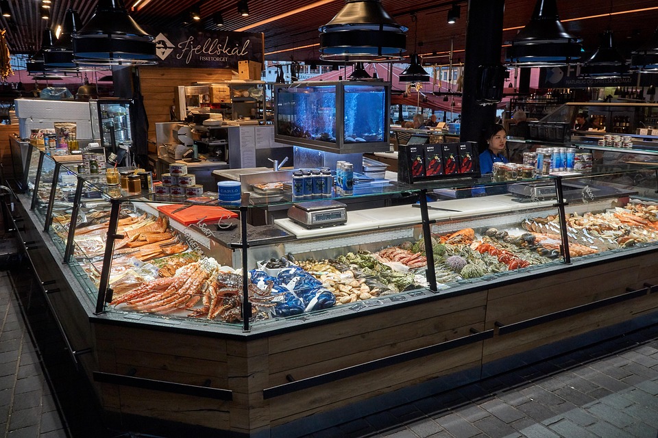 Fish Counter, Music, Sale, Market, Business