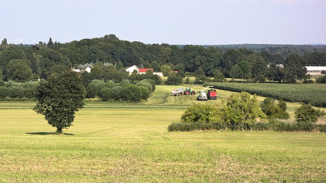 Natureza, Agricultura, Panorama