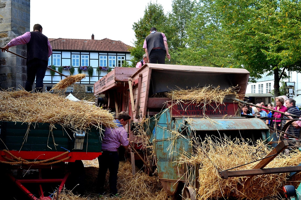 Thresher Ramping Thresher Grain Threshing - Free photo on Pixabay - Pixabay